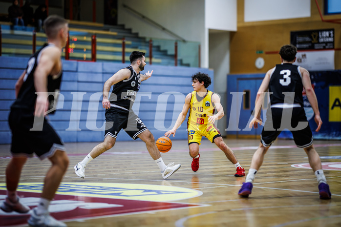 Basketball, Basketball Zweite Liga 2024/25, Grunddurchgang 19.Runde, Traiskirchen Lions NexGen, Wörthersee Piraten, David Hofstädter (10)