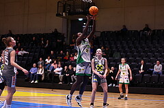 03.02.2024, Graz, Raiffeisen Sportpark, Basketball Damen Superliga 2023/24, Grunddurchgang 11.Runde, UBI Holding Graz - BK Raiffeisen Duchess Klosterneuburg ,  