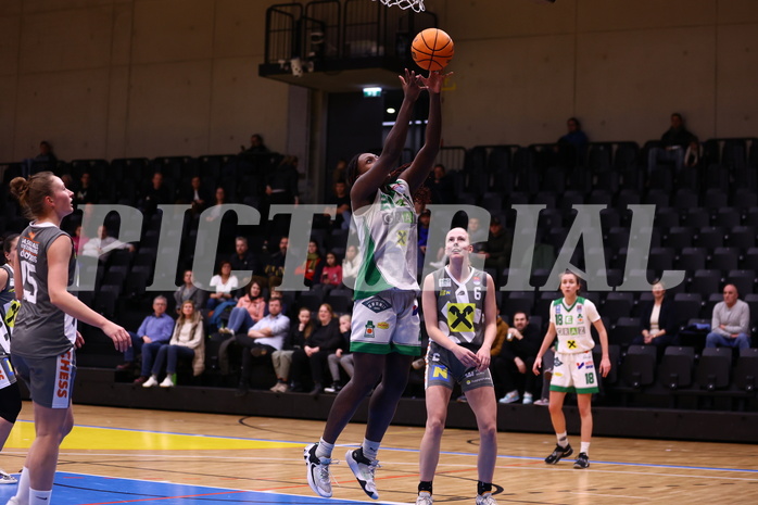 03.02.2024, Graz, Raiffeisen Sportpark, Basketball Damen Superliga 2023/24, Grunddurchgang 11.Runde, UBI Holding Graz - BK Raiffeisen Duchess Klosterneuburg ,  