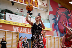 Basketball Superliga 2024/25, SLMU16 Traiskirchen Lionesses vs. VKL Vikings Kammer


