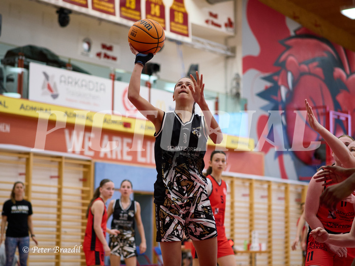 Basketball Superliga 2024/25, SLMU16 Traiskirchen Lionesses vs. VKL Vikings Kammer


