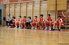 Basketball Superliga 2024/25, SLMU14 Traiskirchen Lions Academy vs. ATSE Graz


