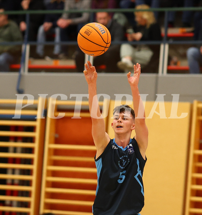 Basketball Zweite Liga 2024/25, Grunddurchgang 15.Runde Mistelbach Mustangs vs. Vienna Timberwolves
