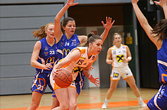 Basketball Austria Cup 2021/22, Viertelfinale BK Duchess Klosterneuburg vs. DBB LZ OÖ