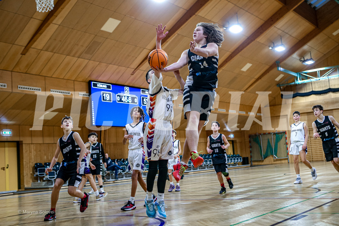 12.01.2025 Österreichischer Basketballverband 2024/25, SLMU14, SU Döbling vs Vienna Giants