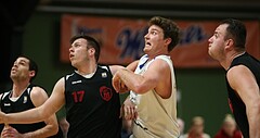 Basketball 2.Bundesliga 2016/17, Grundurchgang 12.Runde D.C. Timberwolves vs. Mistelbach Mustangs


