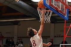 Basketball Superliga 2024/25, SLMU16 Traiskirchen Lions vs. BC Vienna


