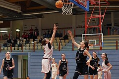 Basketball Superliga 2024/25, SLWU14 Traiskirchen Lionesses vs. ATUS Gratkorn Scorpions


