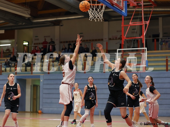 Basketball Superliga 2024/25, SLWU14 Traiskirchen Lionesses vs. ATUS Gratkorn Scorpions


