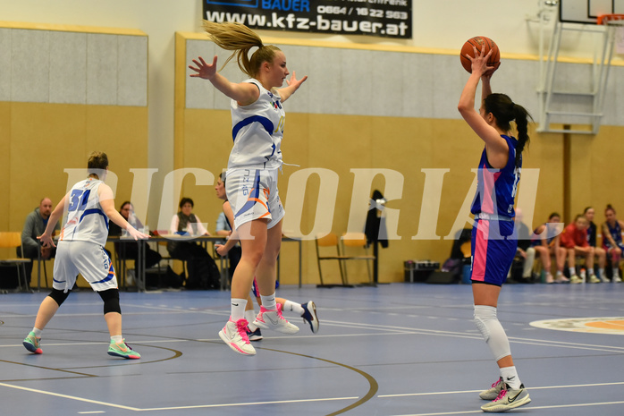 Basketball Superliga 2021/22, Grunddurchgang14.Runde,
DBB LZ OÖ vs DBBC Graz