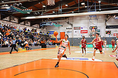 Basketball Superliga 2024/25, Grunddurchgang 15.Runde Klosterneuburg Dukes vs. BC Vienna


