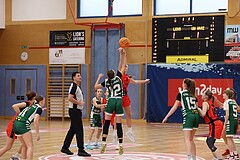 Basketball Superliga 2024/25, SLWU14 Traiskirchen Lionesses vs. UBI Graz


