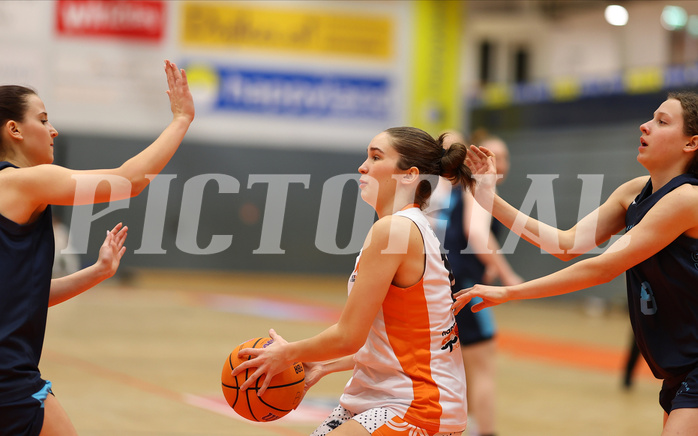 Basketball Superliga SLMU19 Basket Duchess vs. Vienna Timberwolves


