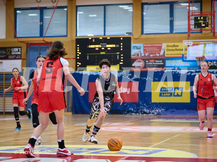 Basketball Superliga 2024/25, SLMU16 Traiskirchen Lionesses vs. VKL Vikings Kammer


