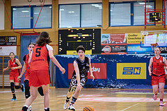 Basketball Superliga 2024/25, SLMU16 Traiskirchen Lionesses vs. VKL Vikings Kammer


