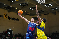 Basketball Austria Cup 2024/25, Viertelfinale, , UBSC Graz vs. BBC Nord


