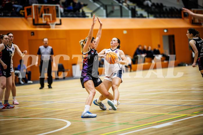 Basketball, Win2Day Basketball Damen Superliga 2024/25, Grunddurchgang 11.Runde, Vienna Timberwolves, Vienna United, Elisa Khamis (1)