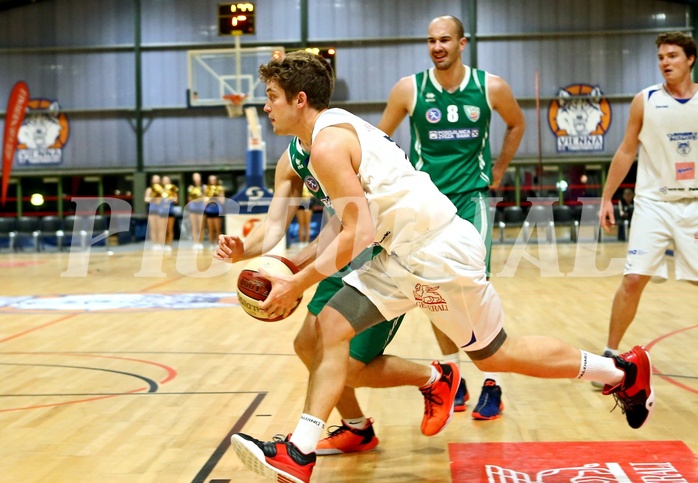 Basketball 2.Bundesliga 2016/17, Grundurchgang 5.Runde D.C. Timberwolves vs. KOS Celovec


