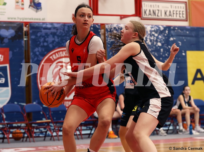 Basketball Superliga 2024/25, SLWU16 Traiskirchen Lionesses vs. DBK Steyrer Witch Cadets


