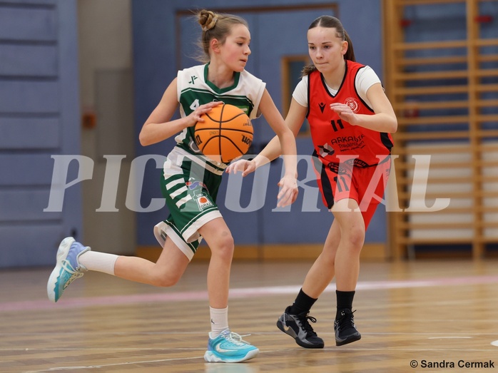 Basketball Superliga 2024/25, SLWU14 Traiskirchen Lionesses vs. UBI Graz


