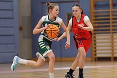 Basketball Superliga 2024/25, SLWU14 Traiskirchen Lionesses vs. UBI Graz


