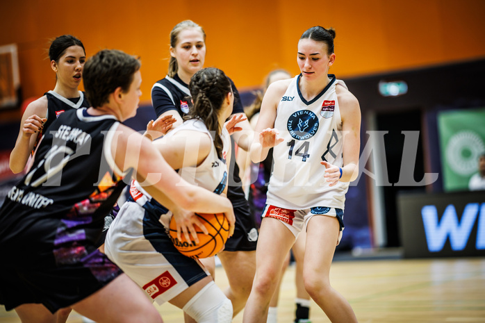 Basketball, Win2Day Basketball Damen Superliga 2023/24, Grunddurchgang 12.Runde, Vienna Timberwolves, Vienna United, Melanie Fischer (14)