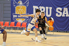 Basketball Zweite Liga 2024/25, Grunddurchgang 12.Runde BBU Salzburg vs. Mistelbach Mustangs