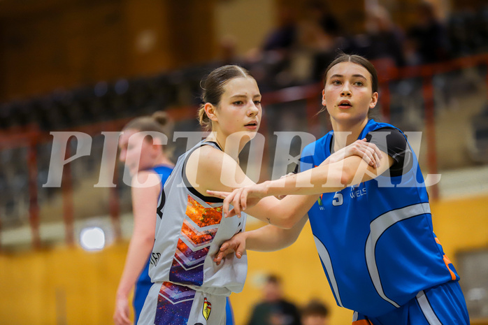 Basketbal lAustria Cup 2024/25, Viertelfinale Vienna United vs. DBB Wels


