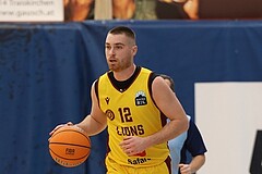 Basketball Zweite Liga 2024/25, Grunddurchgang 17.Runde Traiskirchen Lions NextGen vs. Raiders Tirol



