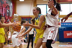 Basketball Superliga 2024/25, SLWU16 Traiskirchen Lionesses vs. UBBC Herzogenburg


