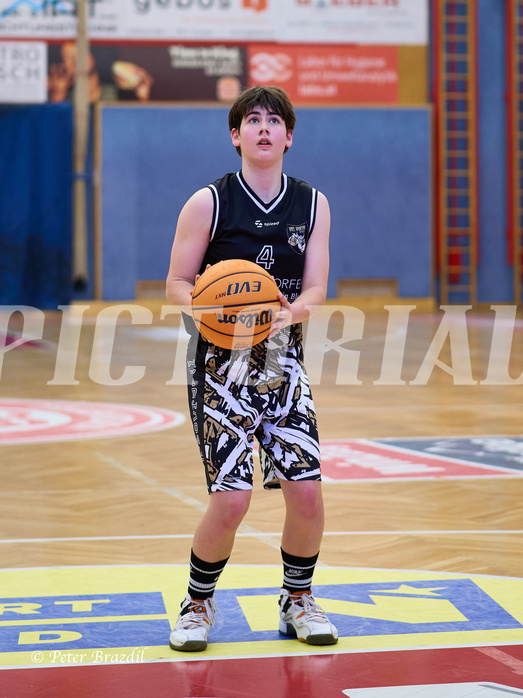 Basketball Superliga 2024/25, SLMU16 Traiskirchen Lionesses vs. VKL Vikings Kammer


