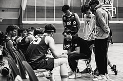 Basketball, Basketball Zweite Liga 2024/25, Grunddurchgang 12.Runde, Vienna Timberwolves, Dornbirn Lions, Kostas Papavasileiou (Head Coach)