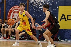 Basketball Zweite Liga 2024/25, Grunddurchgang 22.Runde Traiskirchen Lions NextGen vs. Mistelmach Mustangs


