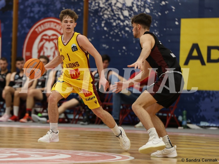 Basketball Zweite Liga 2024/25, Grunddurchgang 22.Runde Traiskirchen Lions NextGen vs. Mistelmach Mustangs



