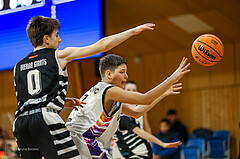 12.01.2025 Österreichischer Basketballverband 2024/25, SLMU14, SU Döbling vs Vienna Giants