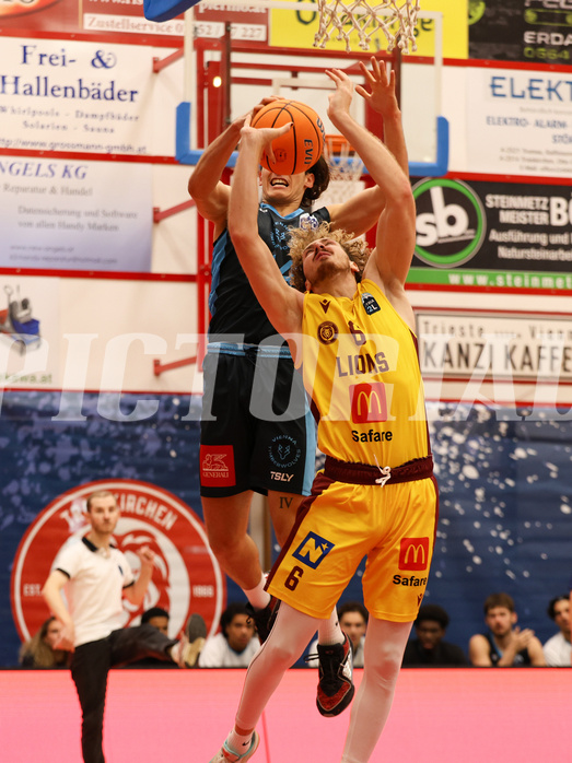 Basketball Zweite Liga 2024/25, Grunddurchgang 1.Runde Traiskirchen Lions NextGen vs. Vienna Timberwolves


