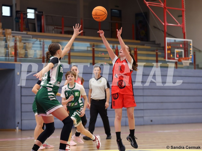 Basketball Superliga 2024/25, SLWU14 Traiskirchen Lionesses vs. UBI Graz


