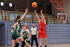 Basketball Superliga 2024/25, SLWU14 Traiskirchen Lionesses vs. UBI Graz


