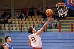 Basketball Superliga 2024/25, SLMU16 Traiskirchen Lionesses vs. FCN Baskets Wels


