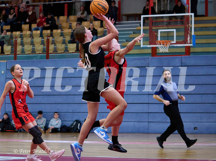 Basketball Superliga 2024/25, SLWU14 Traiskirchen Lionesses vs. Gratkorn Scorpions


