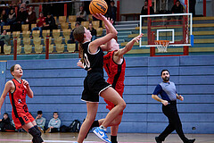 Basketball Superliga 2024/25, SLWU14 Traiskirchen Lionesses vs. Gratkorn Scorpions


