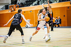 Basketball, Win2Day Basketball Damen Superliga 2023/24, Grunddurchgang 12.Runde, Vienna Timberwolves, Vienna United, Petra Pammer (21)