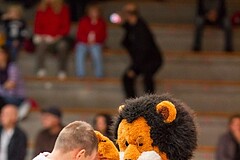 Basketball ABL 2015/16 Grunddurchgang 10.Runde Oberwart Gunners vs. UBSC Graz