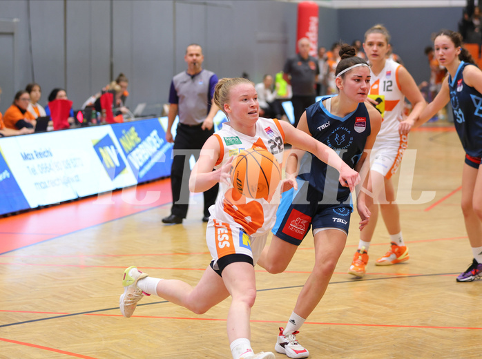 Basketball Austria Cup 2023/24, Viertelfinale BK Duchess Klosterneuburg vs. Vienna Timberwolves


