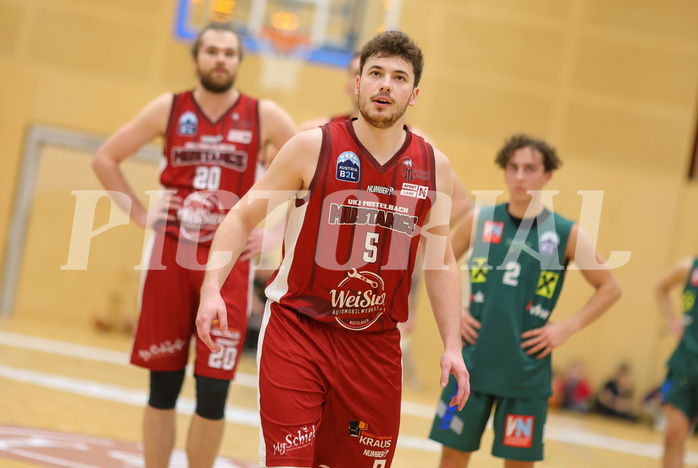 Basketball Zweite Liga 2023/24, Grunddurchgang 16.Runde Mistelbach Mustangs vs. Dornbirn Lions


