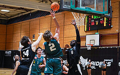 Basketball Zweite Liga 2024/25, Grunddurchgang 6.Runde Raiders Tirol vs. Raiffeisen Dornbirn Lions

