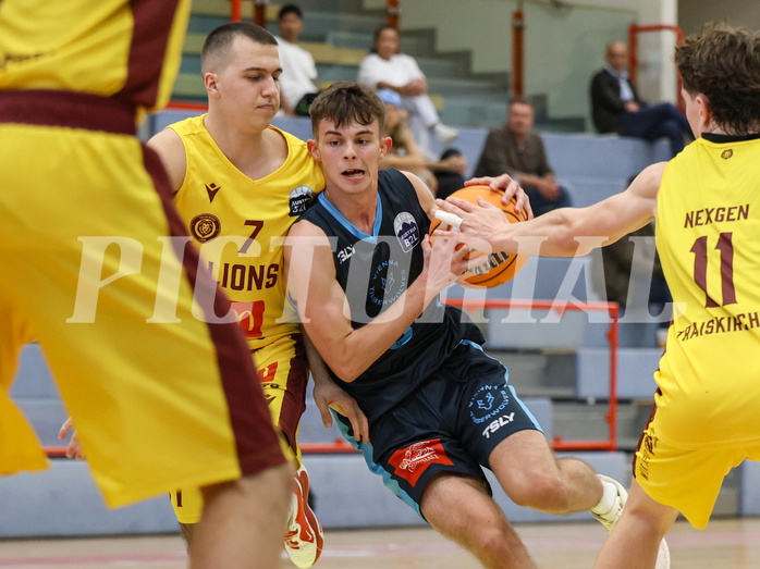 Basketball Zweite Liga 2024/25, Grunddurchgang 1.Runde Traiskirchen Lions NextGen vs. Vienna Timberwolves


