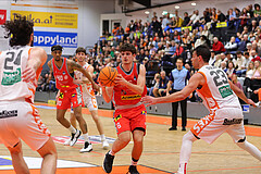 Basketball Superliga 2023/24, Grunddurchgang 22.Runde Klosterneuburg Dukes vs. Traiskirchen Lions