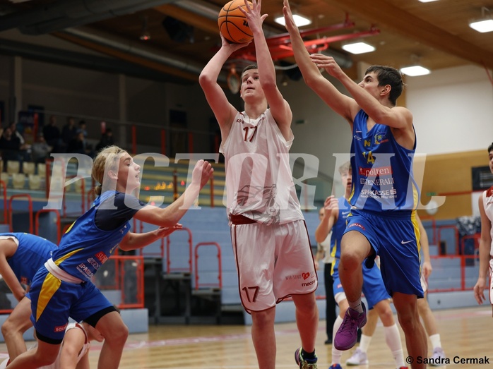 Basketball Superliga 2024/25, SLMU16 Traiskirchen Lions vs. St. Pölten


