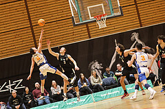 Basketball Zweite Liga 2024/25, Grunddurchgang 19.Runde Raiders Tirol vs. BBU Salzburg


